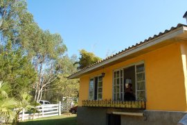 Lindo sítio de 6,8 ha com casa, arroio e frutíferas na Serra Gaúcha 