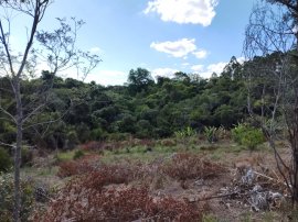 Área de 2ha com vista panorâmica, mata nativa e arroio, no Guari/Lomba Grande
